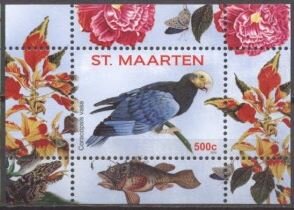 Vasa Parrot (Coracopsis vasa)