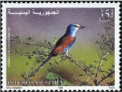 Abyssinian roller (Coracias abyssinicus)