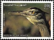 Arabian bustard (Ardeotis arabs)