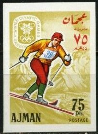 Cross-Country Skiing