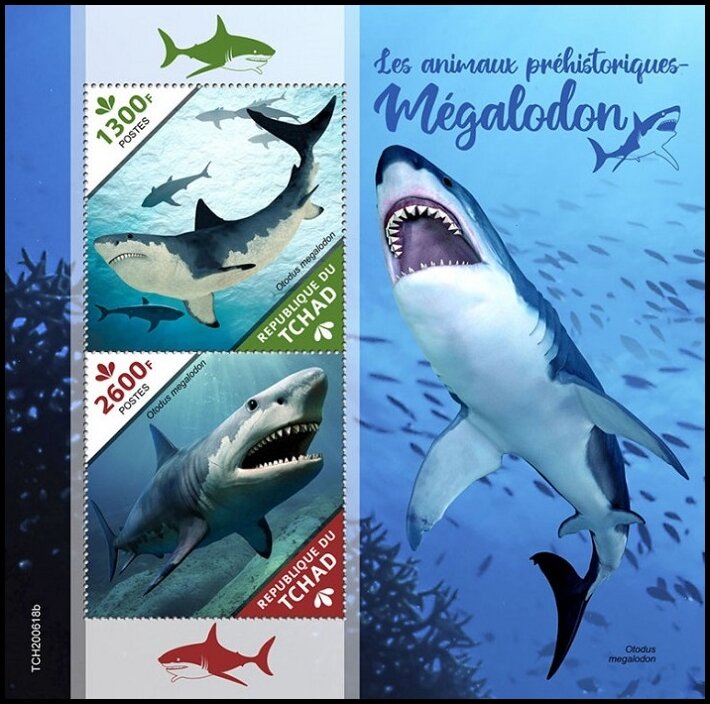 Otodus megalodon