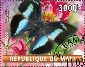 Stamp, Archaeoprepona amphimachus, Cinderellas,  , Animals (Fauna), Butterflies, Insects