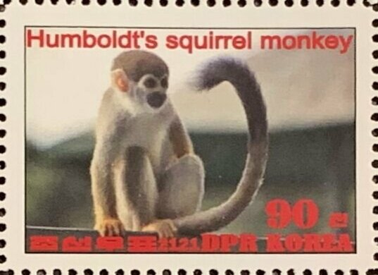 Humboldt's squirrel monkey
