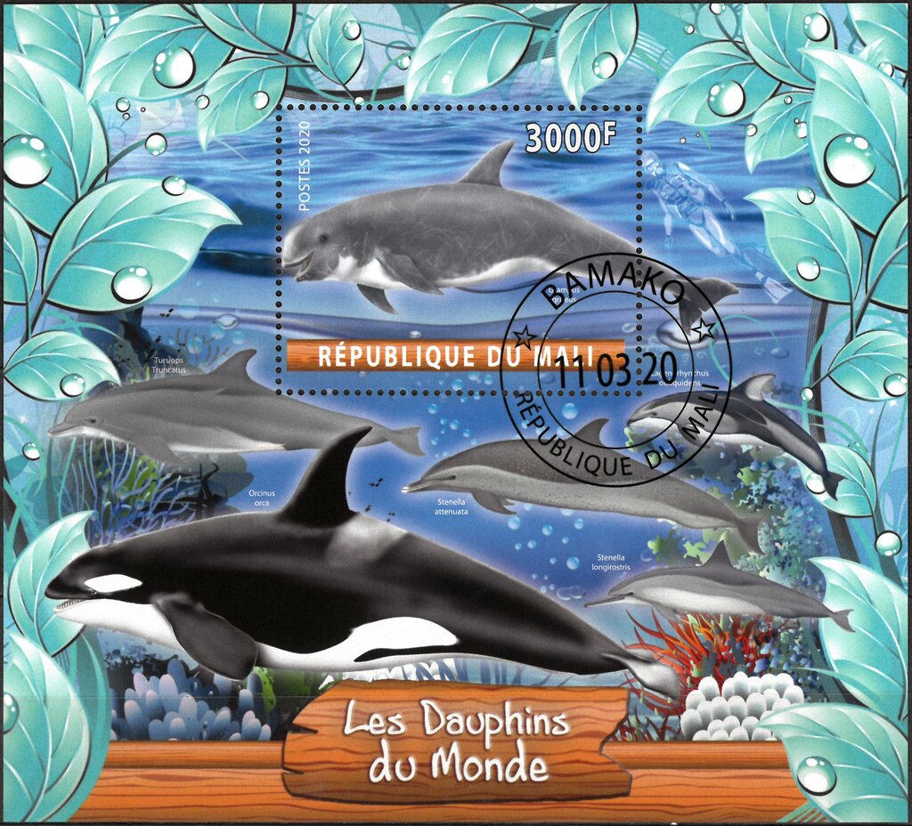 Les Dauphins du Monde