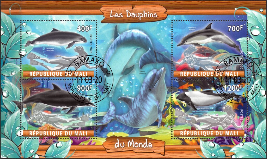 Les Dauphins du Monde