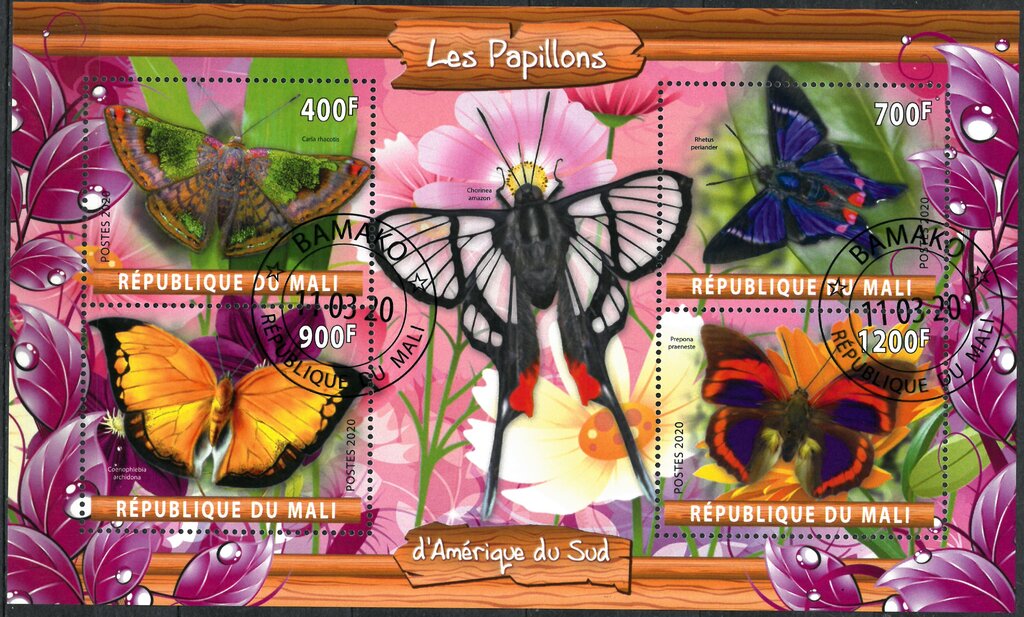 Les Papillons d'Amerique du Sud
