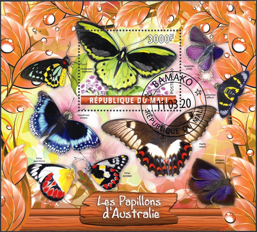 Les Papillons d'Australie