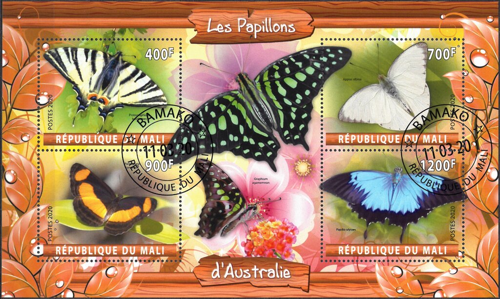 Les Papillons d'Australie