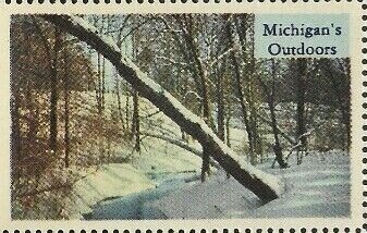 Michigan's Outdoors