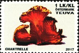 Stamp, Mushrooms, Cinderellas,  , Mushrooms