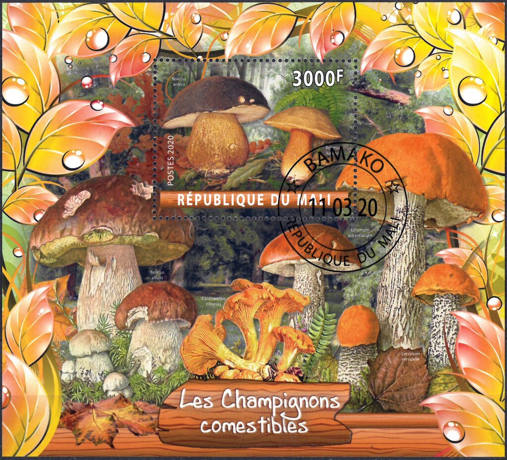 Mushrooms