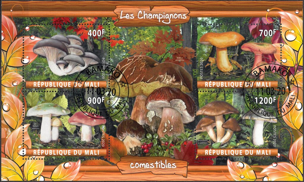 Mushrooms