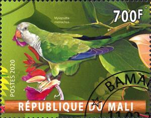 Stamp, Myiopsitta monachus, Cinderellas,  , Animals (Fauna), Birds, Parrots
