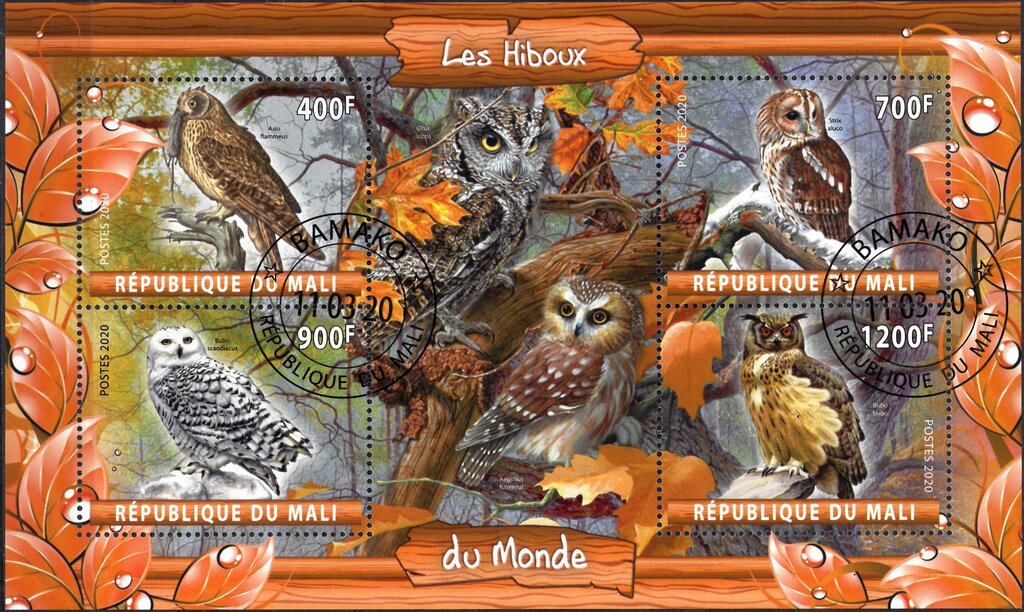 Owls