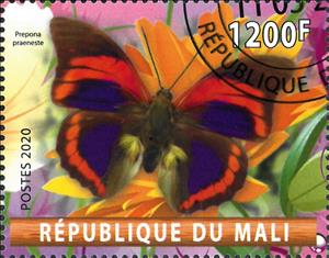 Stamp, Prepona praeneste, Cinderellas,  , Animals (Fauna), Butterflies, Insects