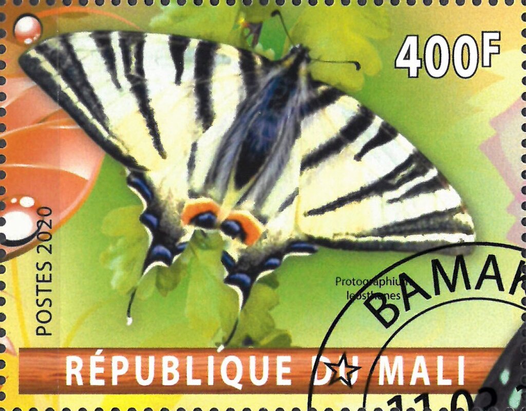 Protographium leosthones