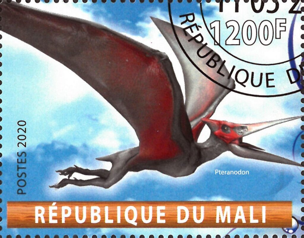 Pteranodon