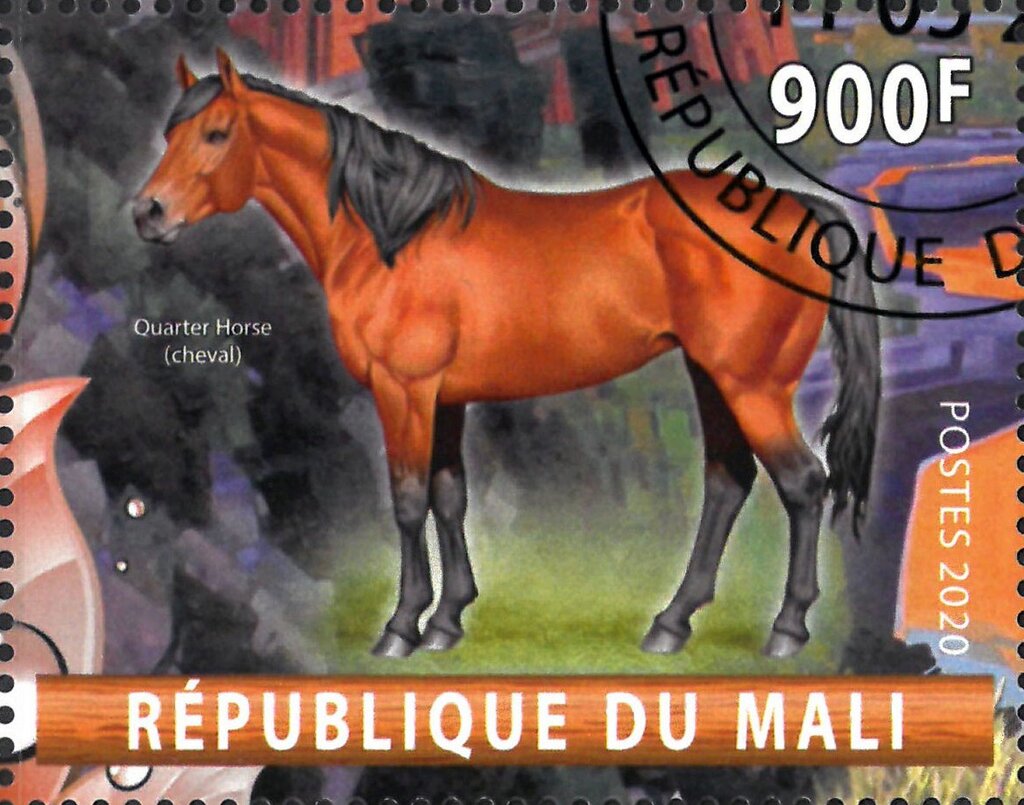 Quarter Horse