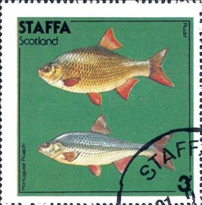 Stamp, Rudd / Portuguse Roach, Cinderellas,  , Animals (Fauna), Fishes