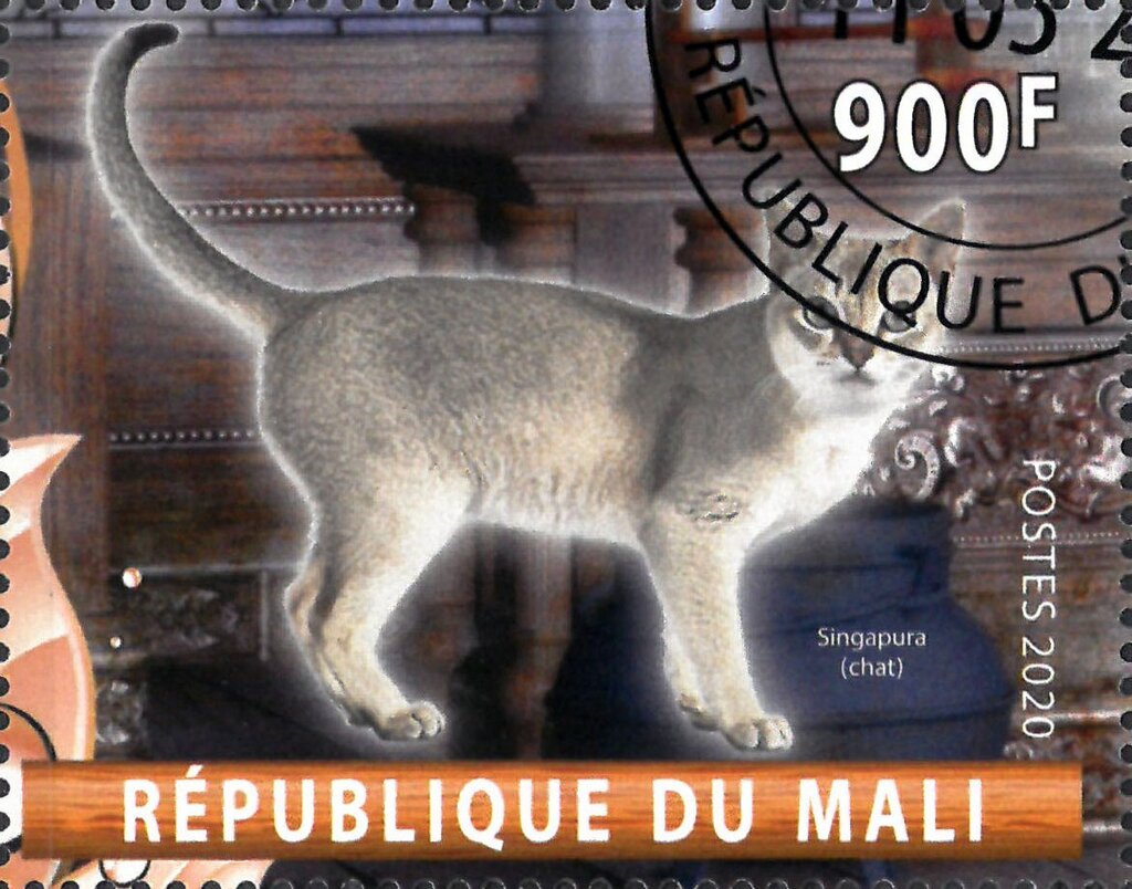 Singapura (chat)