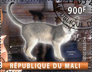 Stamp, Singapura (chat), Cinderellas,  , Animals (Fauna), Cats, Mammals
