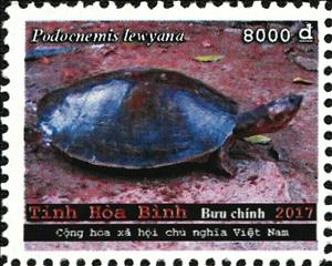 Stamp, Turtles, Cinderellas,  , Animals (Fauna), Turtles