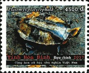 Stamp, Turtles, Cinderellas,  , Animals (Fauna), Turtles