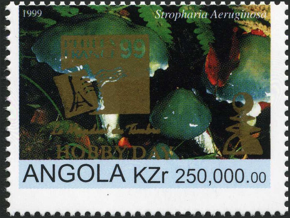 Verdigris Agari (Stropharia aeruginosa)