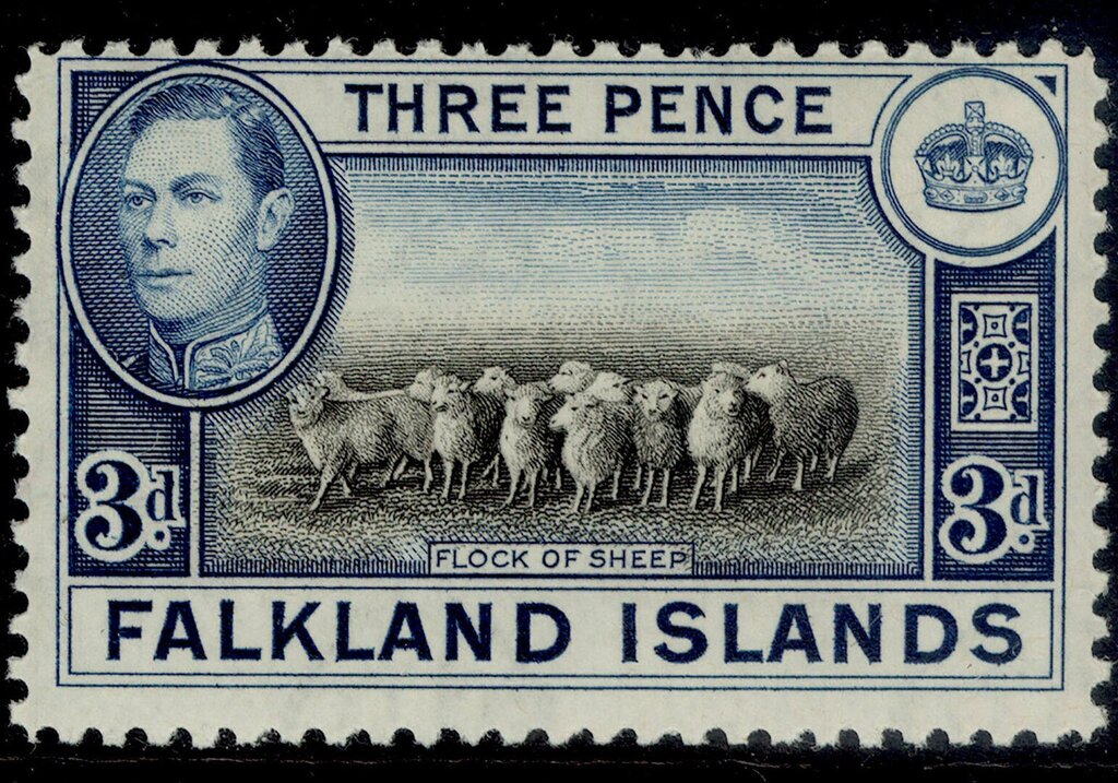 Flock of sheeps