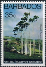 Royal Palms