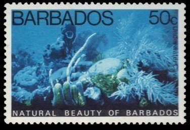 Underwater Caves