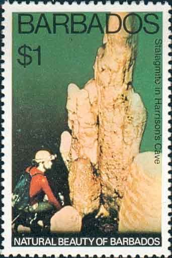 Stalagmite in Cave