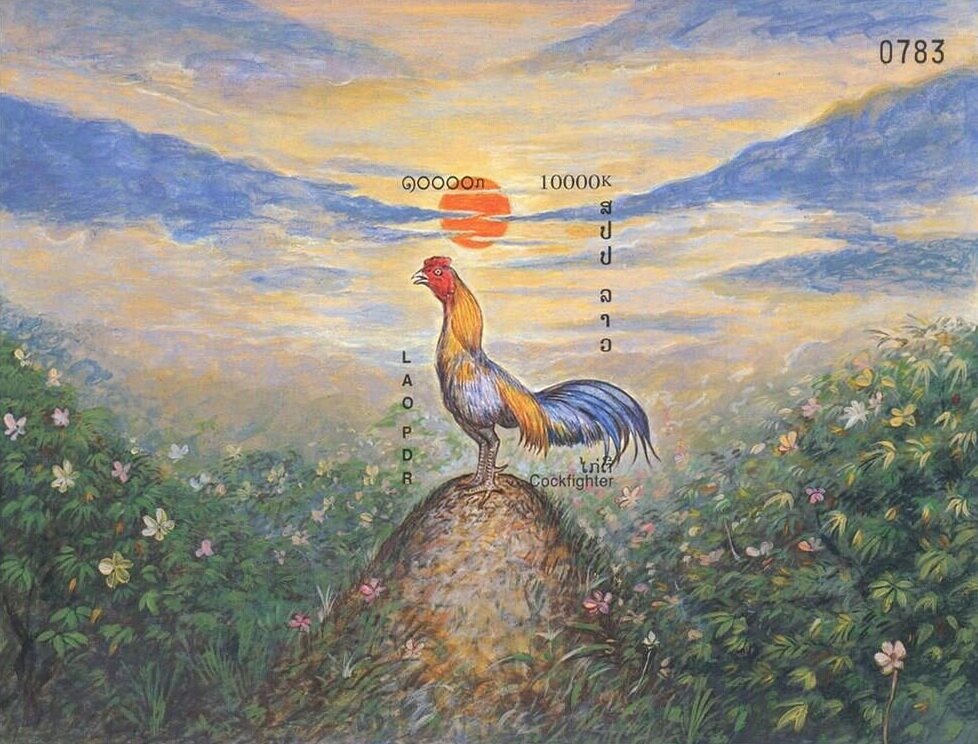 Cock (Gallus gallus domesticus)
