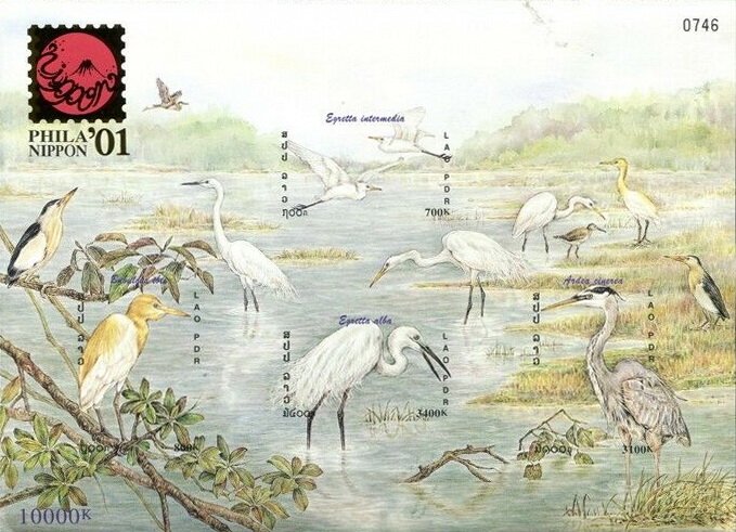 Egrets and Heron