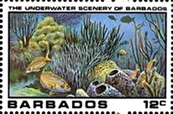 Underwater Scene