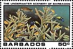 Underwater Scene