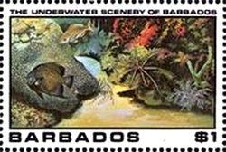 Underwater Scene