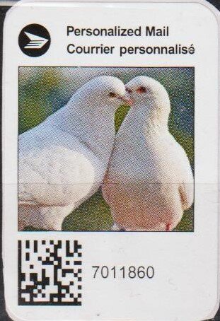 Doves