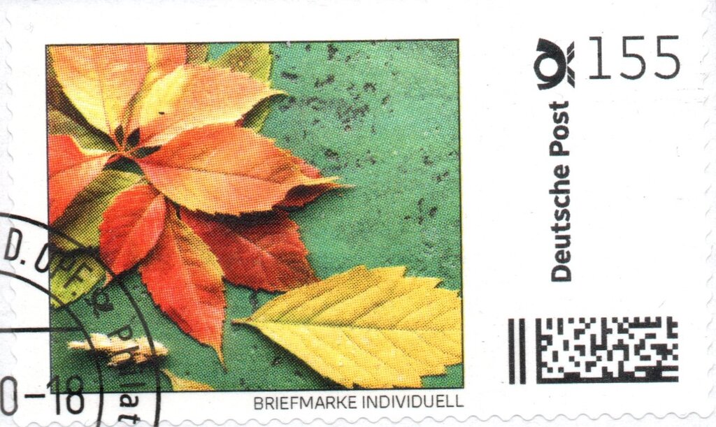 Leaves