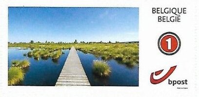 Wetlands