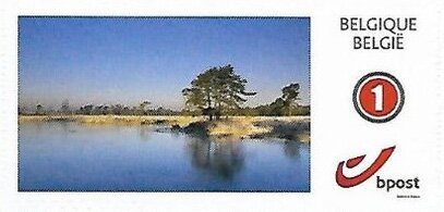 Wetlands