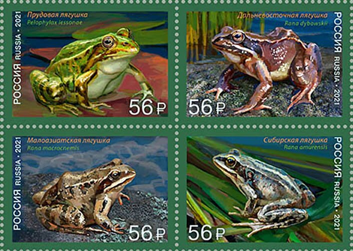 Frogs