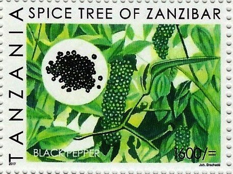Black Pepper