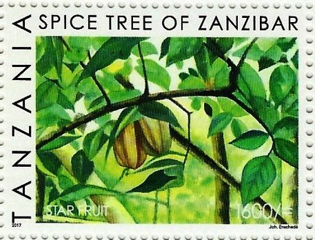 Star Fruit