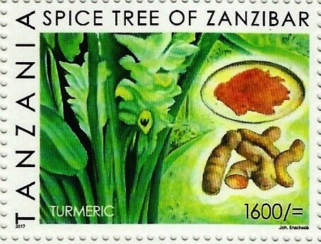 Turmeric