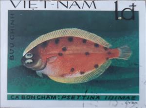 Stamp, Leaf Flounder (Psettina iijimae), Vietnam,  , Animals (Fauna), Fishes, Sea Life