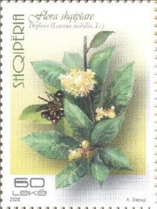 Stamp, Bay Laurel (Laurus nobilis), Albania,  , Flowers
