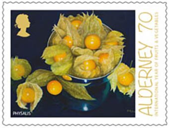 Physalis (Cape Gooseberry)