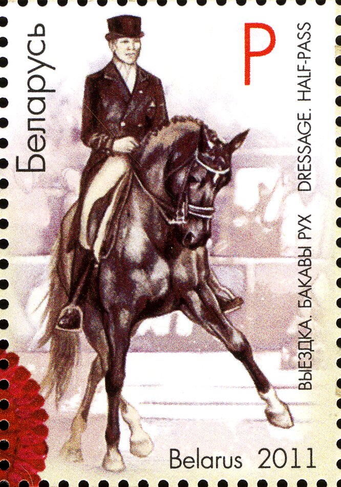 Dressage. Half Pass