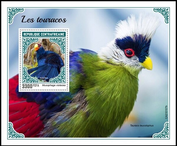 The Violet Turaco (Musophaga violacea)